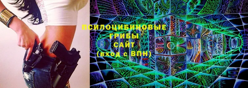 Псилоцибиновые грибы Cubensis  blacksprut сайт  Кологрив 